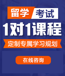 骚到高潮内射老B视频留学考试一对一精品课